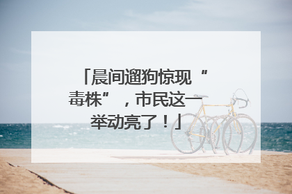 晨间遛狗惊现“毒株”，市民这一举动亮了！