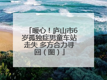 暖心！庐山市6岁孤独症男童车站走失 多方合力寻回（图）
