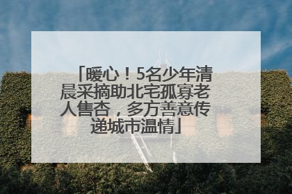 暖心！5名少年清晨采摘助北宅孤寡老人售杏，多方善意传递城市温情