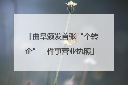 曲阜颁发首张“个转企”一件事营业执照