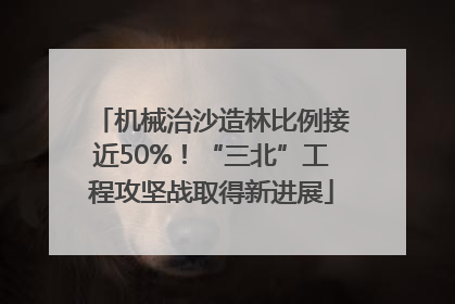 机械治沙造林比例接近50%！“三北”工程攻坚战取得新进展