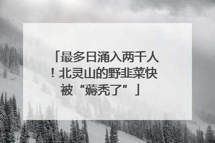 最多日涌入两千人！北灵山的野韭菜快被“薅秃了”
