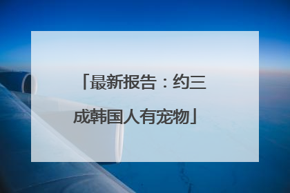最新报告：约三成韩国人有宠物