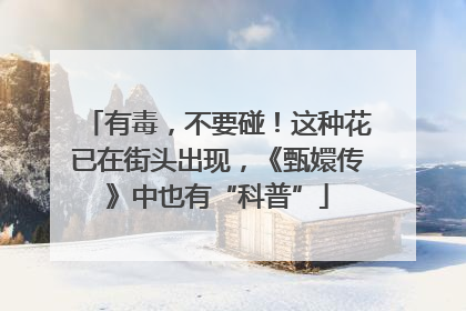 有毒，不要碰！这种花已在街头出现，《甄嬛传》中也有“科普”