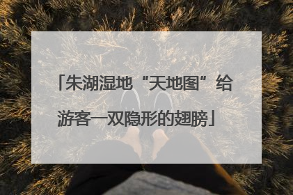 朱湖湿地“天地图”给游客一双隐形的翅膀