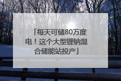 每天可储80万度电！这个大型锂钠混合储能站投产