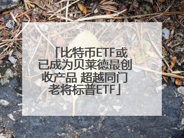 比特币ETF或已成为贝莱德最创收产品 超越同门老将标普ETF