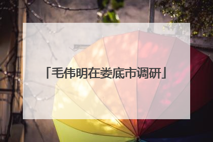 毛伟明在娄底市调研