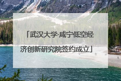 武汉大学·咸宁低空经济创新研究院签约成立