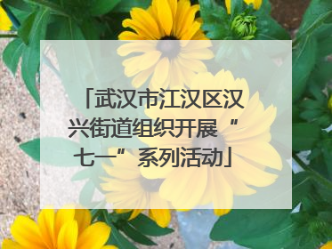 武汉市江汉区汉兴街道组织开展“七一”系列活动