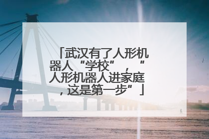 武汉有了人形机器人“学校”，“人形机器人进家庭，这是第一步”