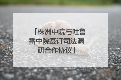 株洲中院与吐鲁番中院签订司法调研合作协议