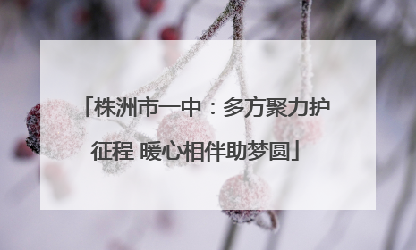 株洲市一中：多方聚力护征程 暖心相伴助梦圆