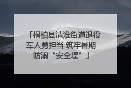 桐柏县清淮街道退役军人勇担当 筑牢暑期防溺“安全堤”