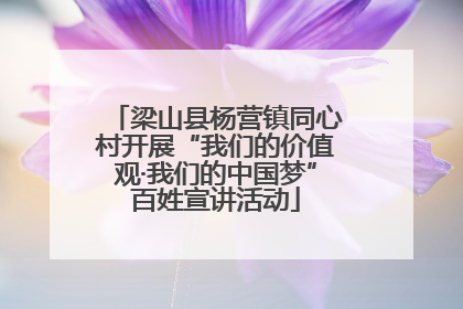 梁山县杨营镇同心村开展“我们的价值观·我们的中国梦”百姓宣讲活动