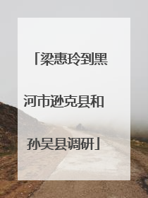 梁惠玲到黑河市逊克县和孙吴县调研