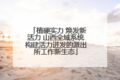植硬实力 焕发新活力 山西全域系统构建活力迸发的派出所工作新生态