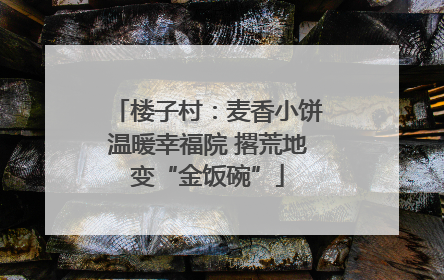 楼子村：麦香小饼温暖幸福院 撂荒地变“金饭碗”
