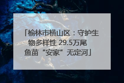 榆林市横山区：守护生物多样性 29.5万尾鱼苗“安家”无定河