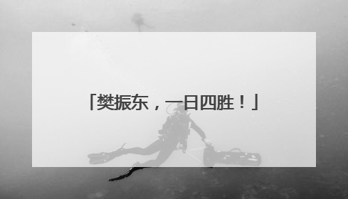 樊振东，一日四胜！