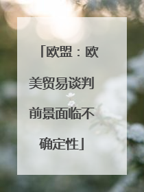 欧盟：欧美贸易谈判前景面临不确定性