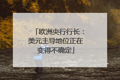 欧洲央行行长：美元主导地位正在变得不确定