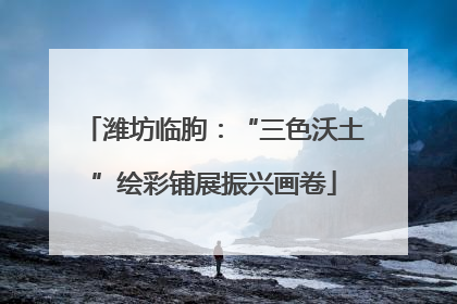 潍坊临朐：“三色沃土”绘彩铺展振兴画卷