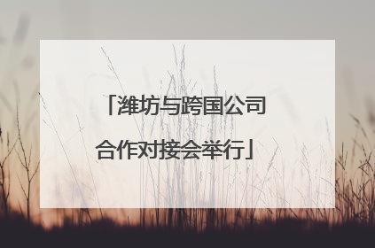 潍坊与跨国公司合作对接会举行
