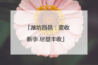 潍坊昌邑：麦收新事 尽显丰收