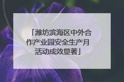 潍坊滨海区中外合作产业园安全生产月活动成效显著