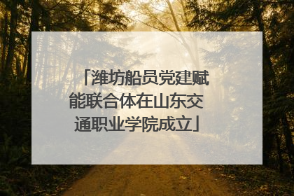 潍坊船员党建赋能联合体在山东交通职业学院成立