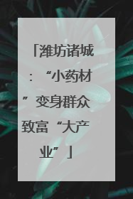 潍坊诸城：“小药材”变身群众致富“大产业”
