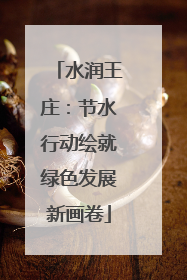 水润王庄：节水行动绘就绿色发展新画卷