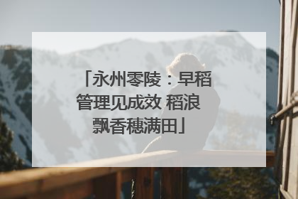 永州零陵：早稻管理见成效 稻浪飘香穗满田