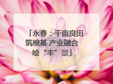 永春：千亩良田筑根基 产业融合绘“丰”景