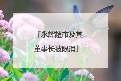 永辉超市及其董事长被限消