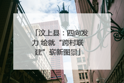 汶上县：四向发力 绘就“跨村联建”崭新图景