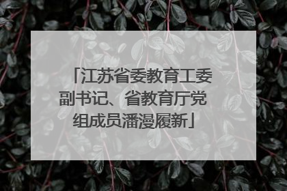 江苏省委教育工委副书记、省教育厅党组成员潘漫履新