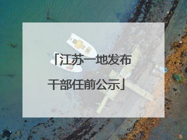 江苏一地发布干部任前公示