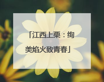 江西上栗：绚美焰火致青春