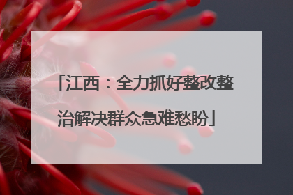 江西：全力抓好整改整治解决群众急难愁盼