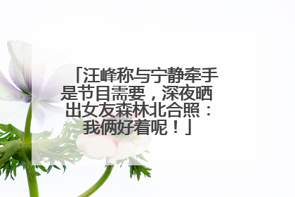 汪峰称与宁静牵手是节目需要，深夜晒出女友森林北合照：我俩好着呢！