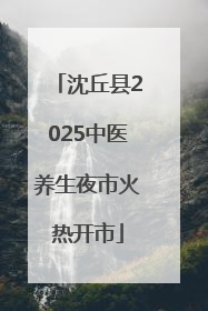 沈丘县2025中医养生夜市火热开市