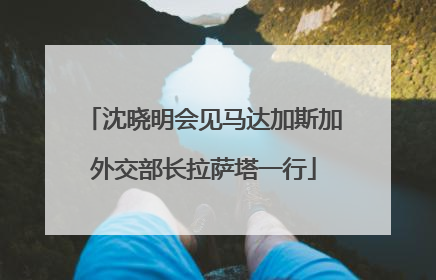 沈晓明会见马达加斯加外交部长拉萨塔一行