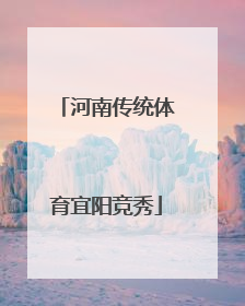 河南传统体育宜阳竞秀