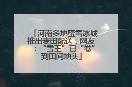 河南多地蜜雪冰城推出麦田配送，网友：“雪王”已“卷”到田间地头
