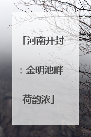 河南开封：金明池畔荷韵浓