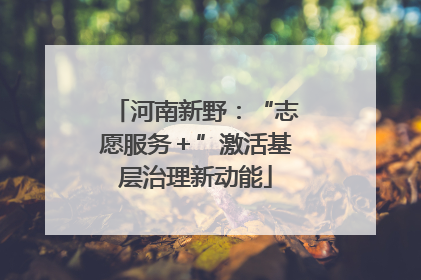 河南新野：“志愿服务＋”激活基层治理新动能