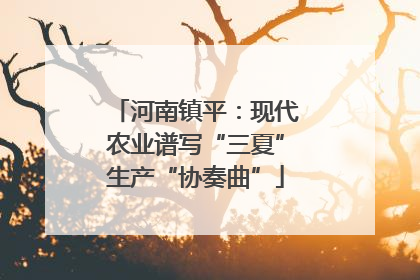 河南镇平：现代农业谱写“三夏”生产“协奏曲”