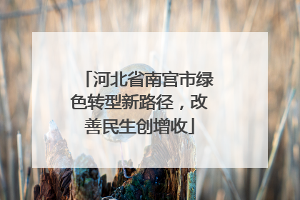 河北省南宫市绿色转型新路径，改善民生创增收